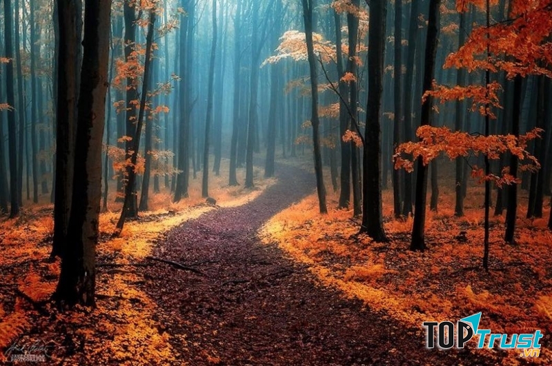 Con đường mòn đẹp nhất thế giới mà bạn không thể nào bỏ qua