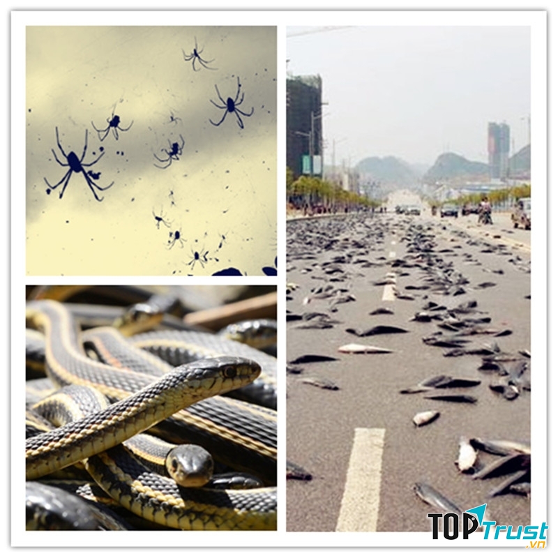 Cơn mưa quái lạ nhất trên thế giới