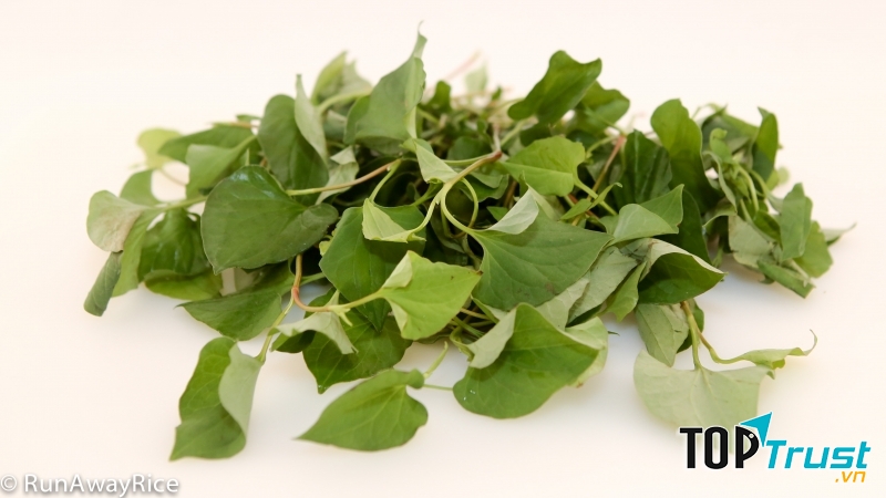 Công dụng thần kỳ của rau diếp cá