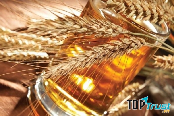 Công dụng thú vị của bia mà bạn chưa biết