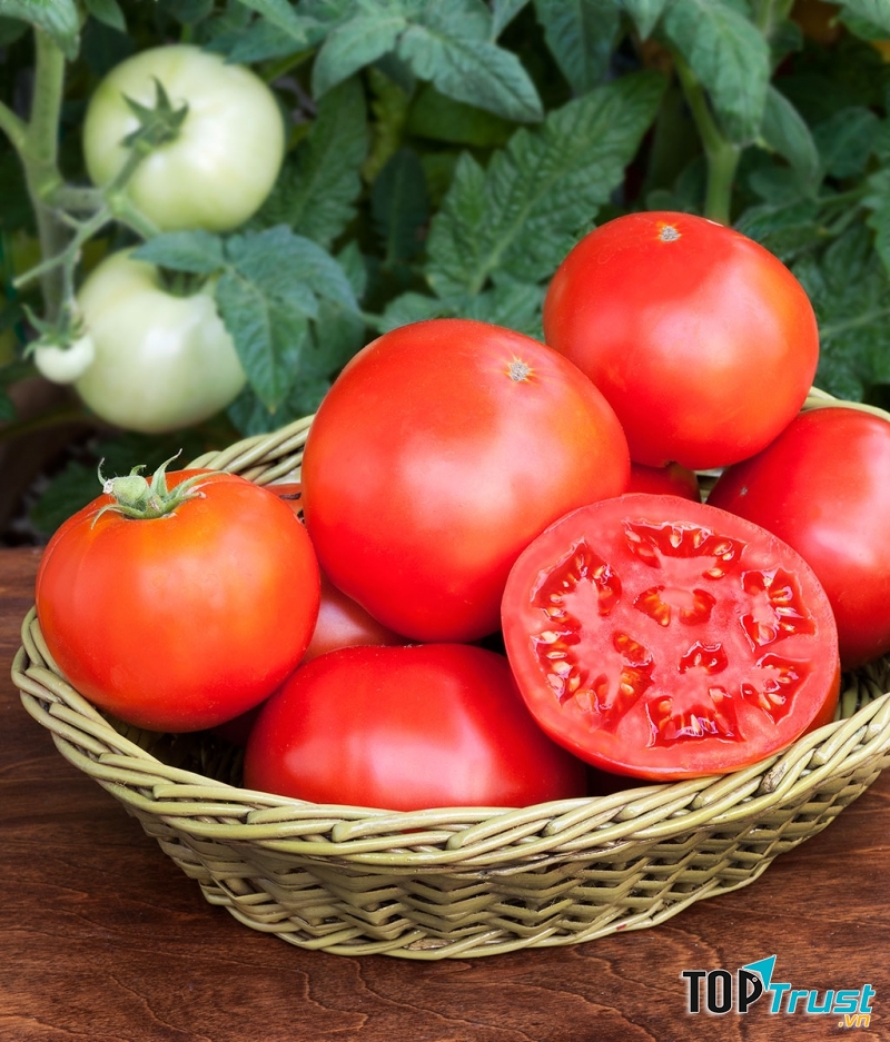 Công dụng tuyệt vời của quả cà chua cho sức khỏe và làm đẹp