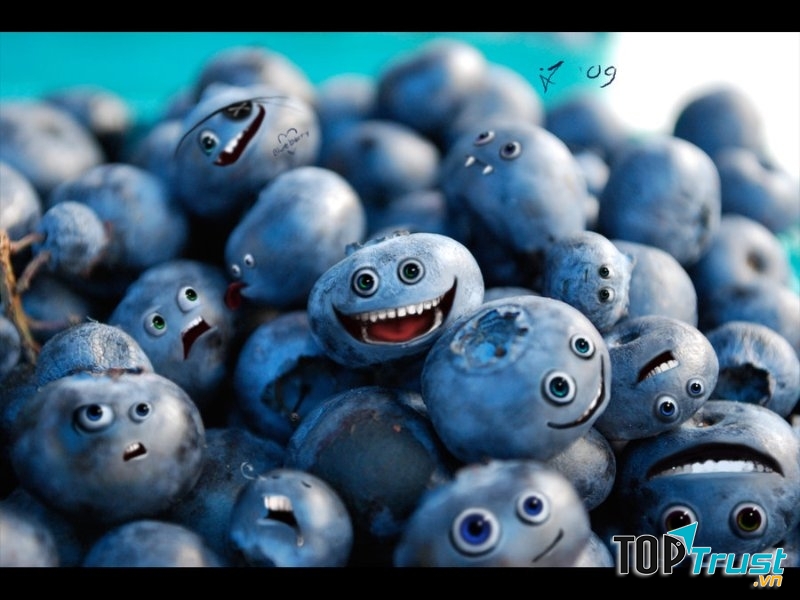 Công dụng tuyệt vời của quả việt quất đối với sức khỏe