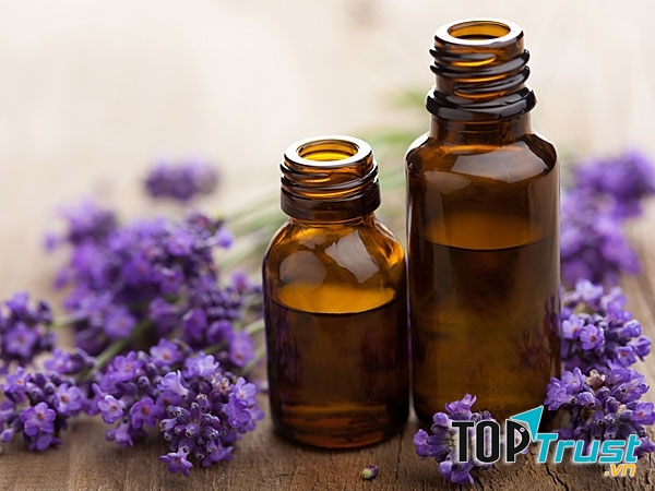 Công dụng tuyệt vời của tinh dầu oải hương