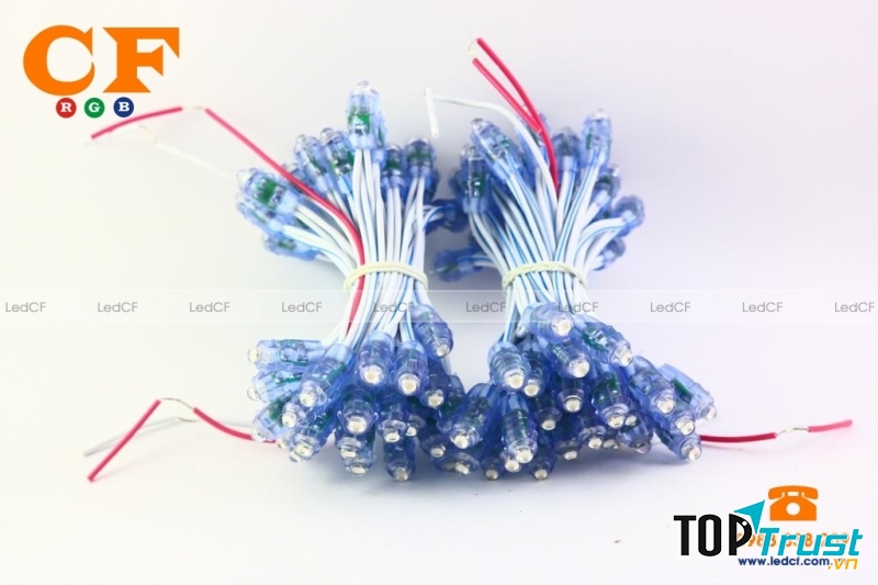 Công ty cung cấp đèn led quảng cáo uy tín và chất lượng ở Hà Nội