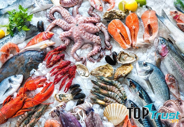 Công ty cung cấp thực phẩm đông lạnh uy tín nhất Việt Nam