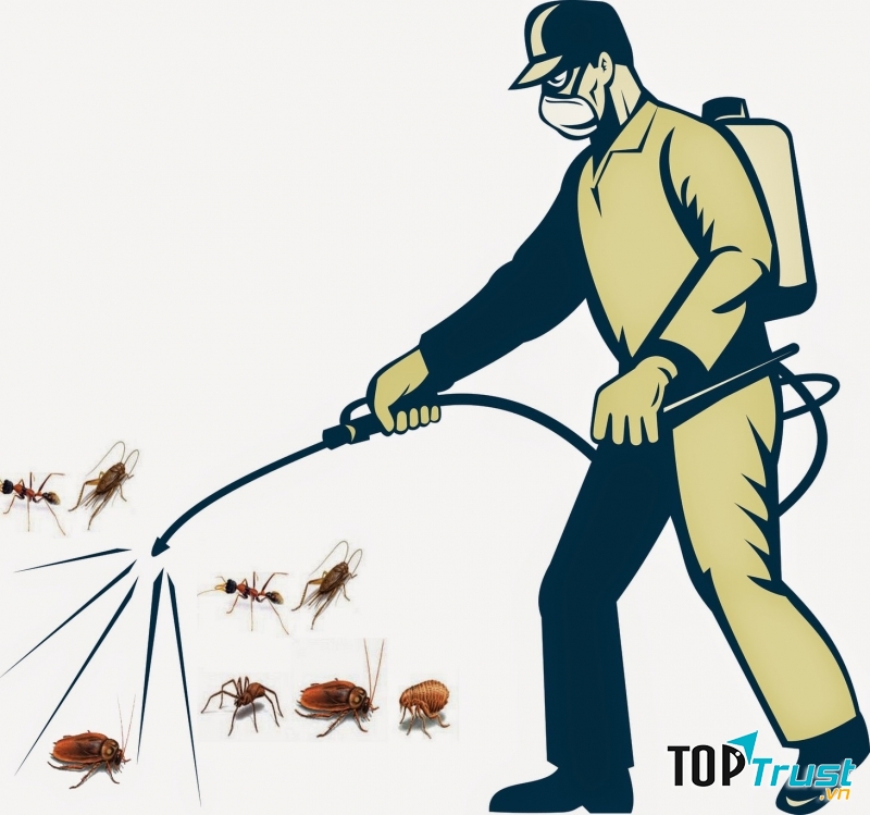 Công ty dịch vụ diệt muỗi tốt nhất tại Tp. HCM