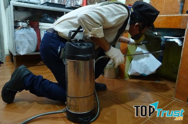 Công ty diệt mối uy tín quận Tân Phú