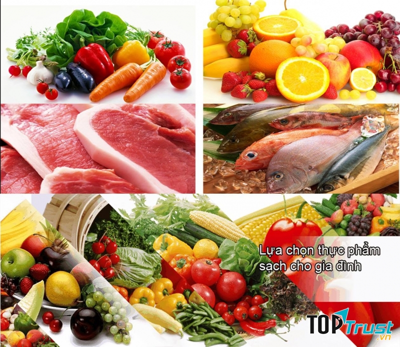 Công ty nhóm ngành thực phẩm tươi sống và đông lạnh uy tín nhất năm 2019