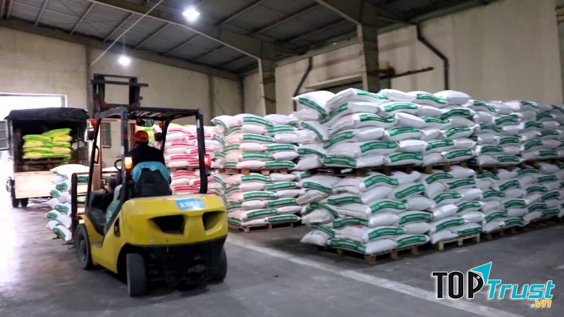 Công ty sản xuất thức ăn gia súc chất lượng nhất tại Bình Định