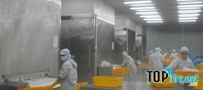 Công ty thiết kế bảo ôn đường ống kho lạnh uy tín nhất TP. HCM