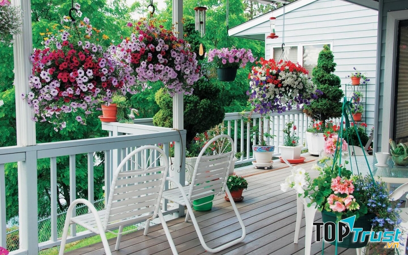 Công ty thiết kế thi công lắp đặt hoa, cây cảnh cho chung cư, biệt thự ở Hà Nội