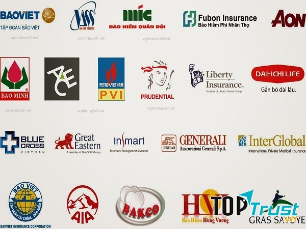 Công ty trong ngành Bảo hiểm nhân thọ uy tín nhất Việt Nam