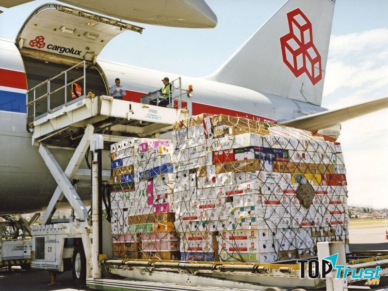 Công ty xuất nhập khẩu hàng đầu Việt Nam hiện nay