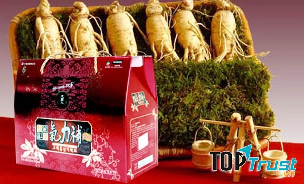 Cửa hàng bán hồng sâm Hàn Quốc uy tín nhất ở TPHCM