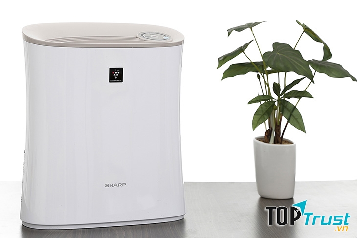 Cửa hàng bán máy lọc không khí uy tín tại Tp. HCM