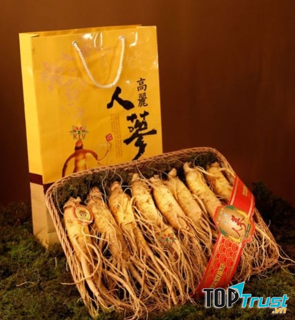 Cửa hàng bán nhân sâm Hàn Quốc uy tín nhất ở Cần Thơ