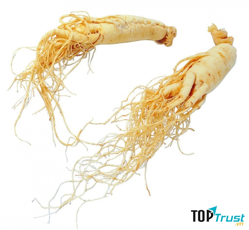 Cửa hàng bán nhân sâm Hàn Quốc uy tín ở Hà Nội