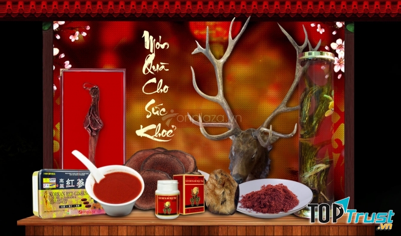 Cửa hàng bán Nhung Hươu chất lượng và uy tín nhất ở Hà Nội