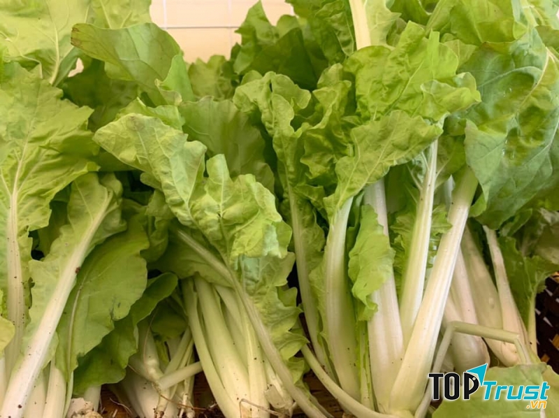 Cửa hàng thực phẩm sạch uy tín nhất Thái Nguyên