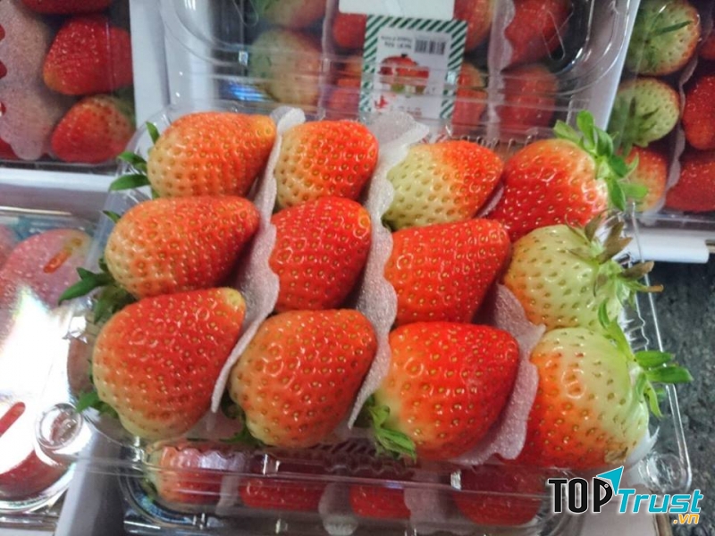 Cửa hàng thực phẩm sạch uy tín và chất lượng nhất Quảng Ngãi