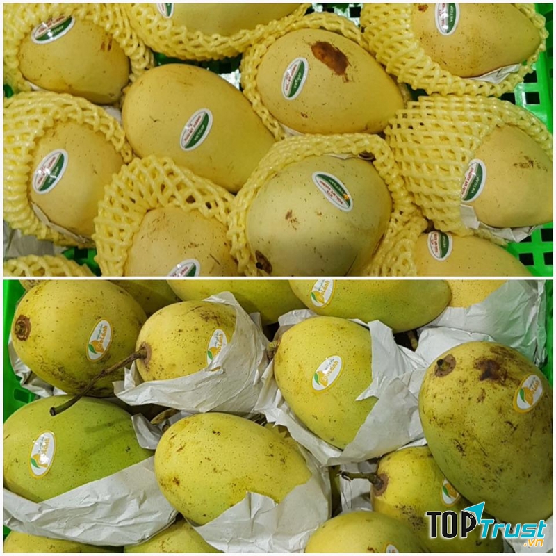 Cửa hàng thực phẩm sạch uy tín và chất lượng nhất Yên Bái