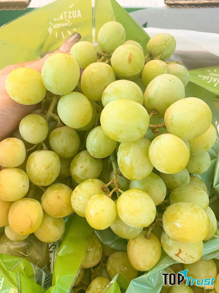 Cửa hàng trái cây sạch và an toàn tại Ninh Thuận