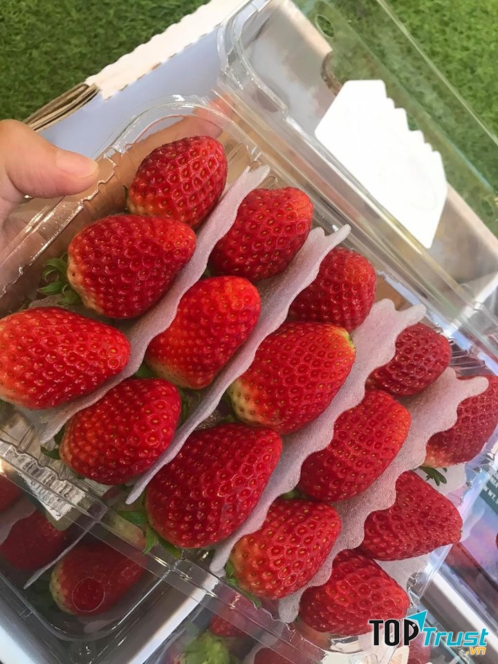 Cửa hàng trái cây sạch và an toàn tại quận Gò Vấp, TP. HCM