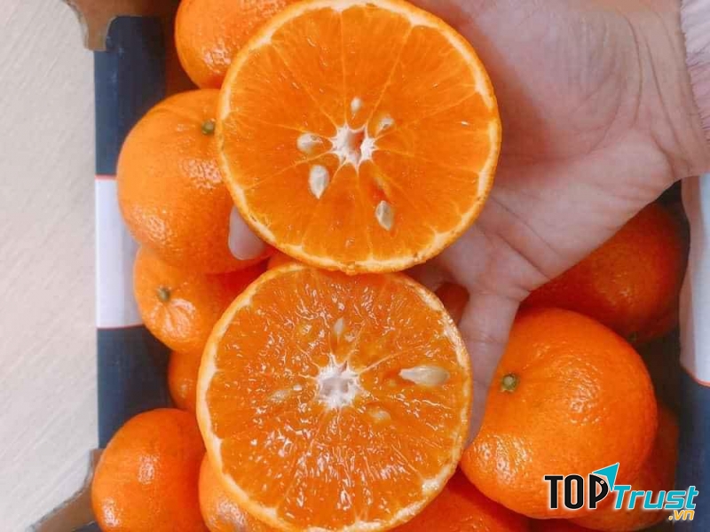 Cửa hàng trái cây sạch và an toàn tại Vĩnh Phúc