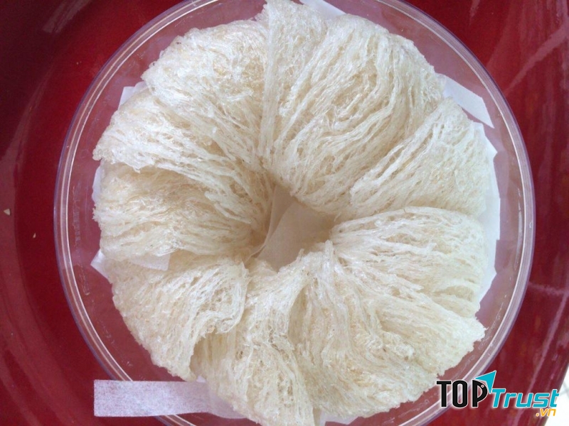 Cửa hàng yến sao uy tín và chất lượng nhất ở Khánh Hòa