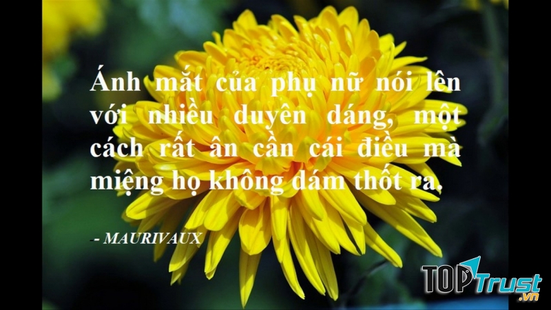 Cuốn sách hay về nữ quyền đầy ấn tượng và xúc động