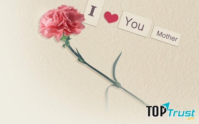 Cuốn sách viết về mẹ hay nhất, cảm động nhất