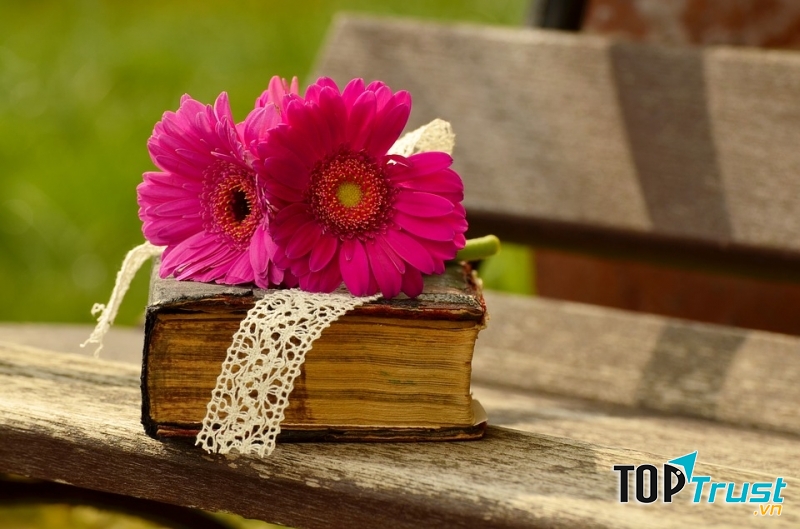 Cuốn sách ý nghĩa nên làm quà tặng cho bạn gái