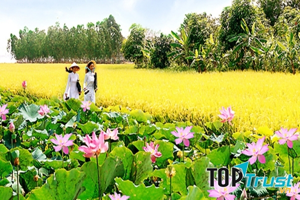 Đặc sản hấp dẫn nên mua về làm qua khi du lịch Đồng Tháp