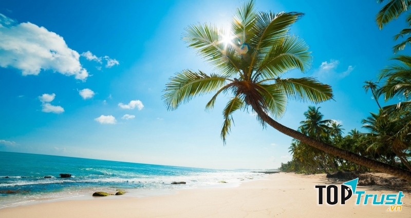 đặc sản không thể bỏ qua khi đến đảo Phú Quốc - Kiên Giang