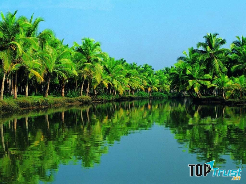 đặc sản làm quà khi đến du lịch tại Bến Tre