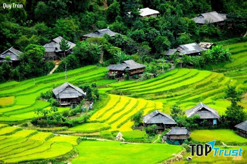 Đặc sản ngon nổi tiếng Yên Bái bạn nên thử qua