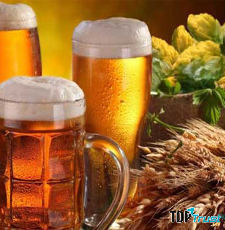 Đại lý chuyên cung cấp bia tươi ngon và chất lượng nhất ở TP. HCM