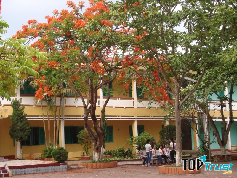 Dàn ý bài văn miêu tả cho học sinh lớp 5 chi tiết nhất