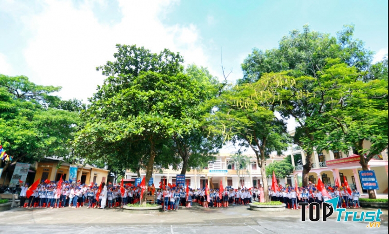 Dàn ý bài văn tả cây bóng mát chi tiết nhất