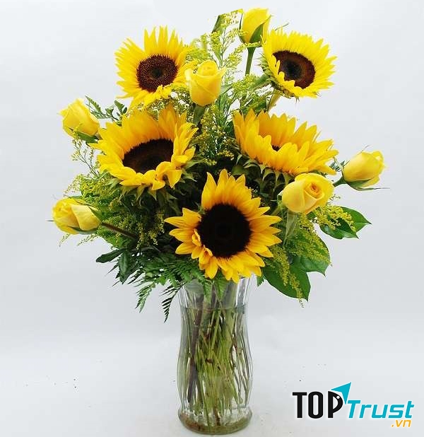 Dàn ý bài văn tả cây hoa chi tiết nhất