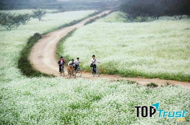 Dàn ý bài văn tả con đường đến trường chi tiết nhất