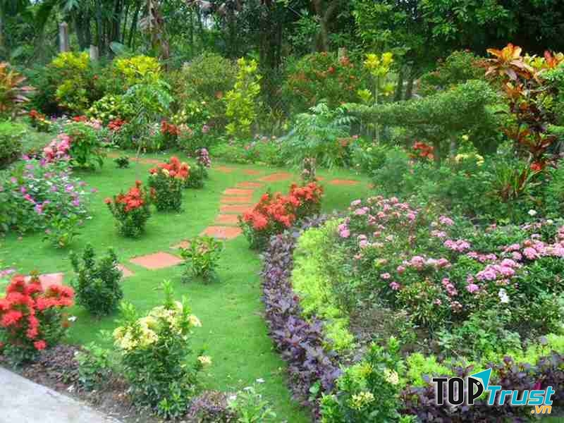 Dàn ý bài văn tả khu vườn chi tiết nhất