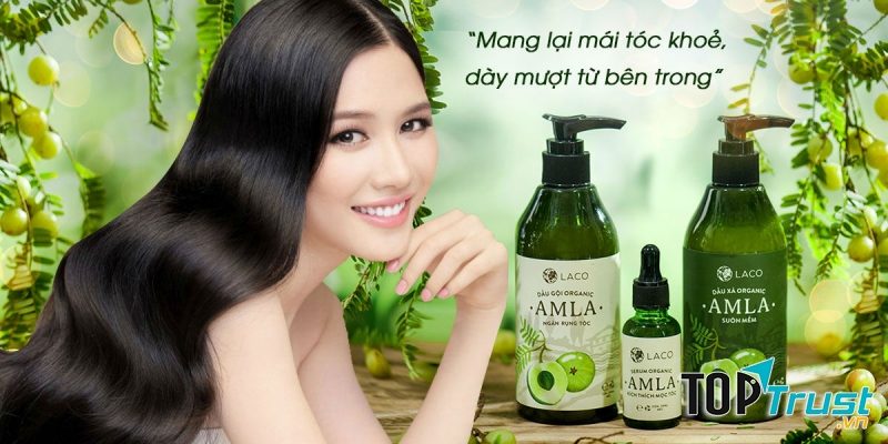Dầu gội Organic được tin dùng nhất hiện nay