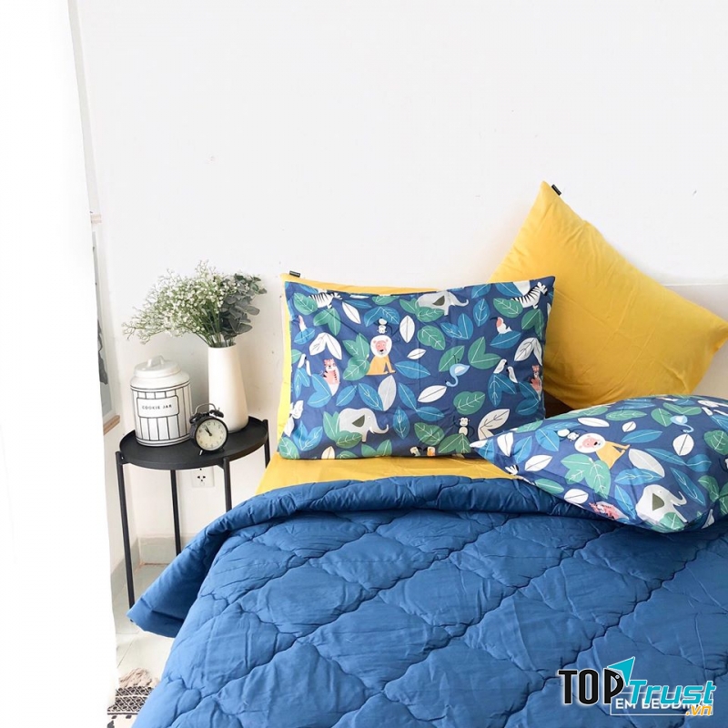 địa chỉ bán chăn ga gối đệm ở quận Bình Thạnh, TP. HCM uy tín giá tốt