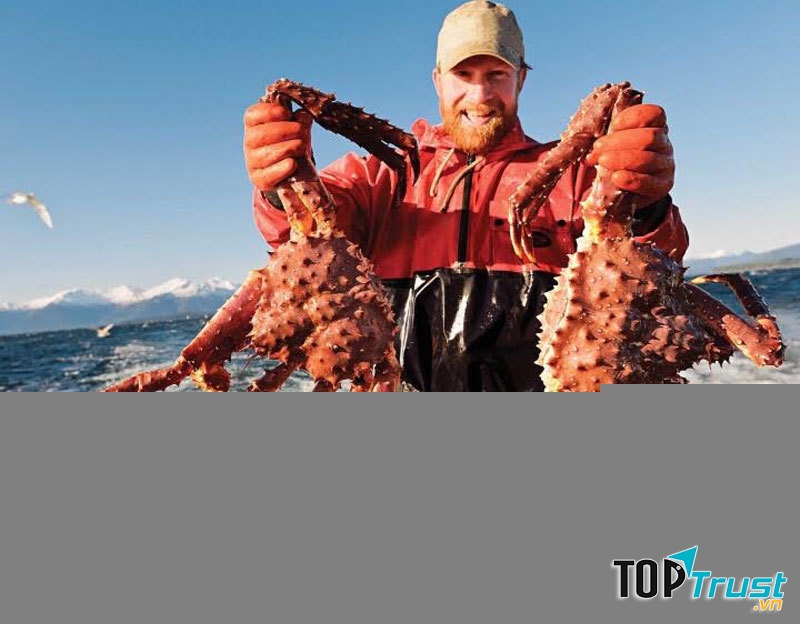 địa chỉ bán cua Hoàng Đế uy tín và chất lượng nhất Hà Nội