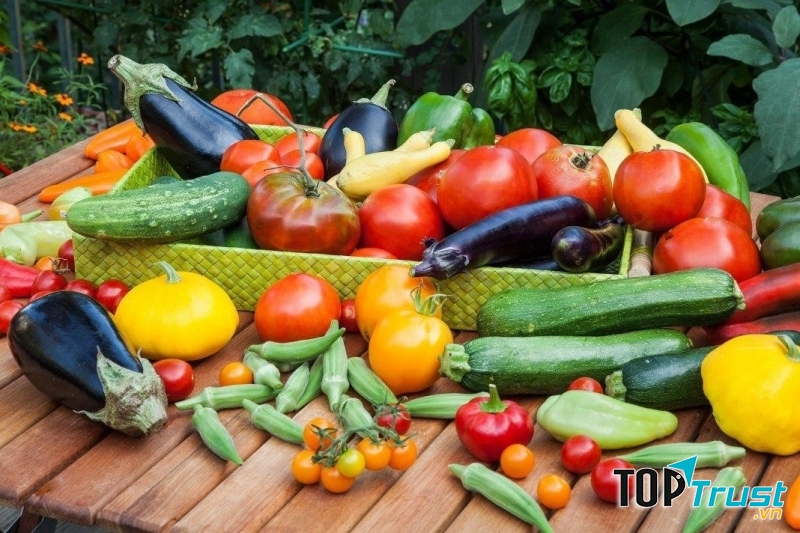 địa chỉ bán đất sạch trồng rau đảm bảo nhất ở TP. Hồ Chí Minh