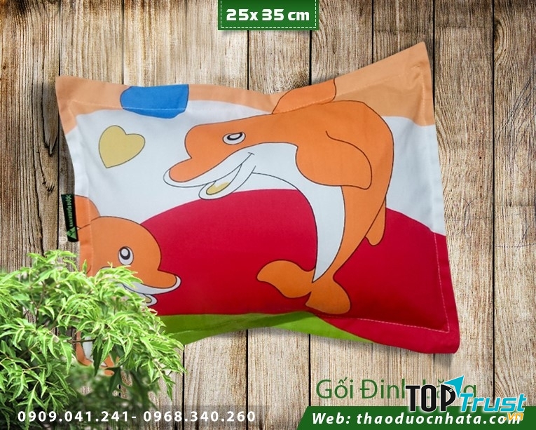 địa chỉ bán gối đinh lăng cho trẻ tại Hà Nội