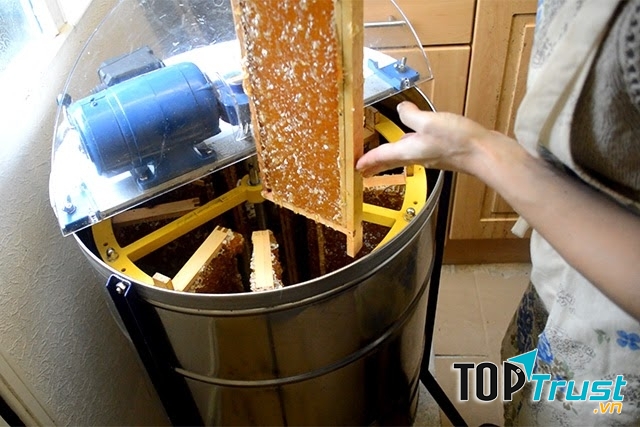 địa chỉ bán mật ong nguyên chất tốt nhất ở TP.HCM