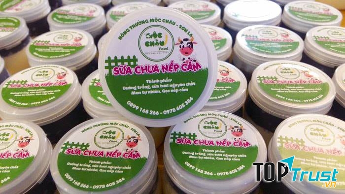 Địa chỉ bán sữa chua nếp cẩm ngon và chất lượng nhất Mộc Châu