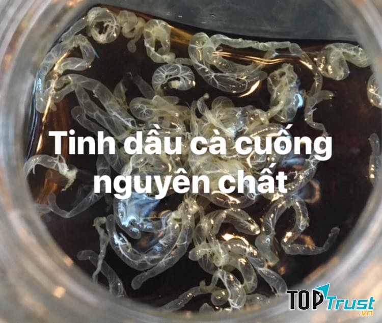 địa chỉ bán tinh dầu cà cuống uy tín nhất Hà Nội